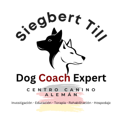 DOG COACH EXPERT UNIVERSIDAD Logo