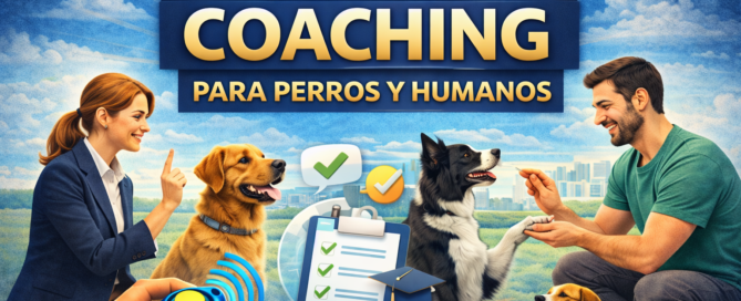 LIBRO 01 - EL ARTE DEL COACHING