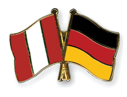 ¿Por Qué Dog Coach Expert No Es Solo un Entrenador, Sino un Transformador de Perros?