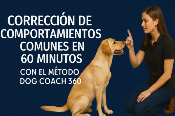 CORRECCIÓN DE COMPORTAMIENTOS COMUNES EN 60 MINUTOS