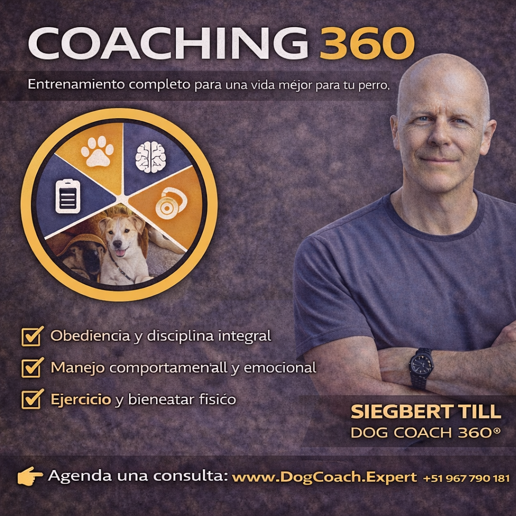 4. Técnicas de educación: ejercicios prácticos y variaciones