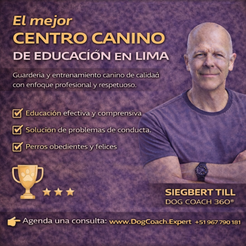 Formación Profesional