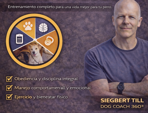 Escuela Canina Lima Perú: Refuerzo Positivo real