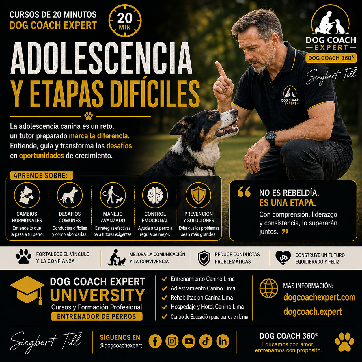 La Adolescencia Canina ¿Por Qué Tu Perro Olvidó Todo Lo Que Sabía?