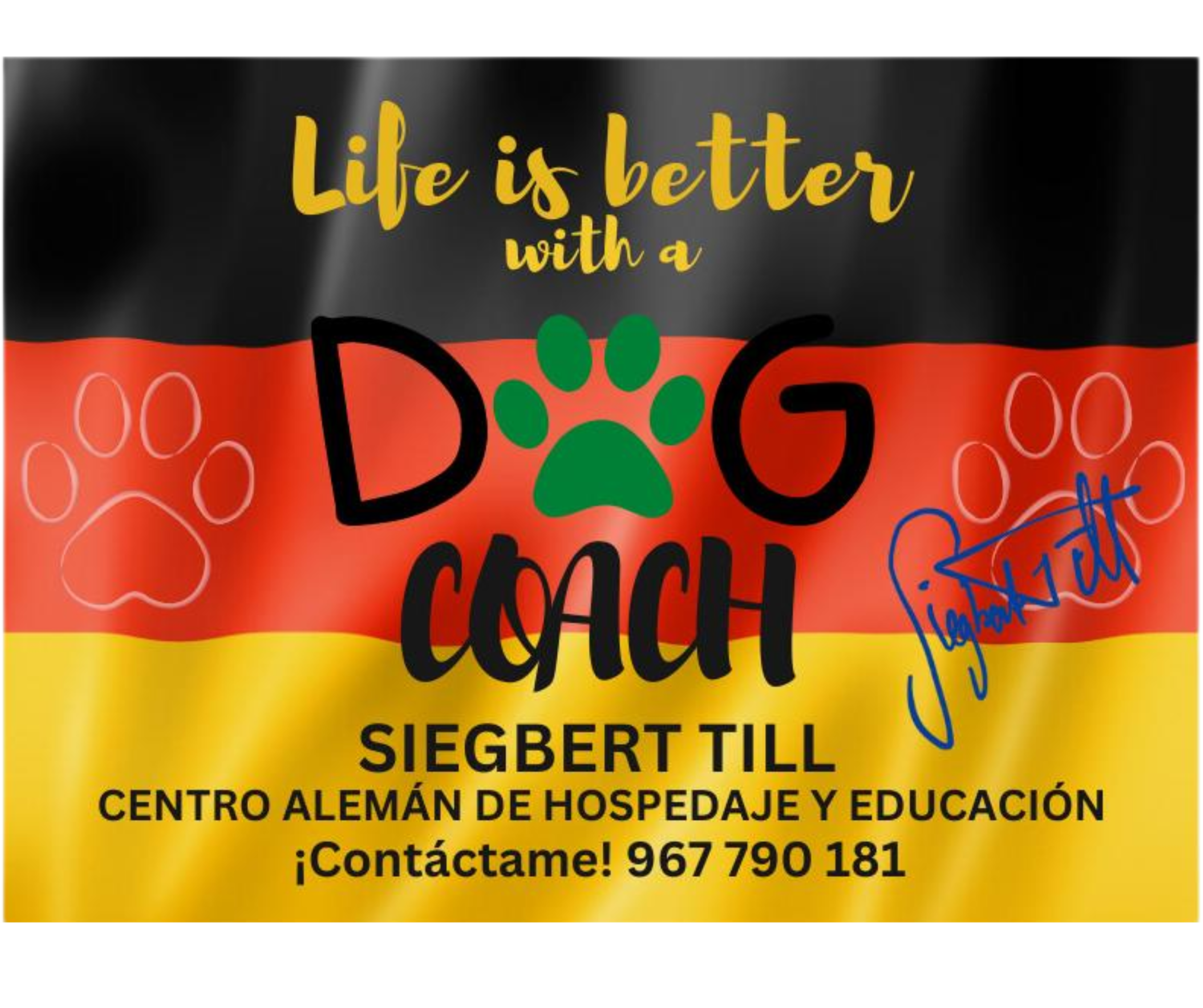 Logo Bandera Alemana 01