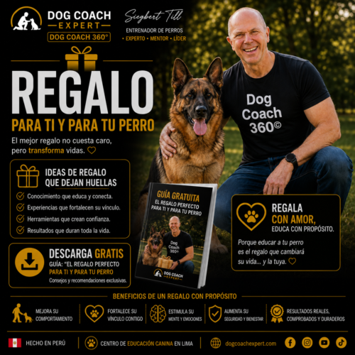 Regalo