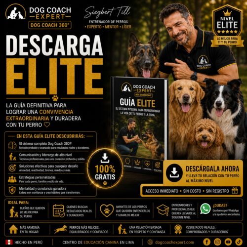 Descarga Elite