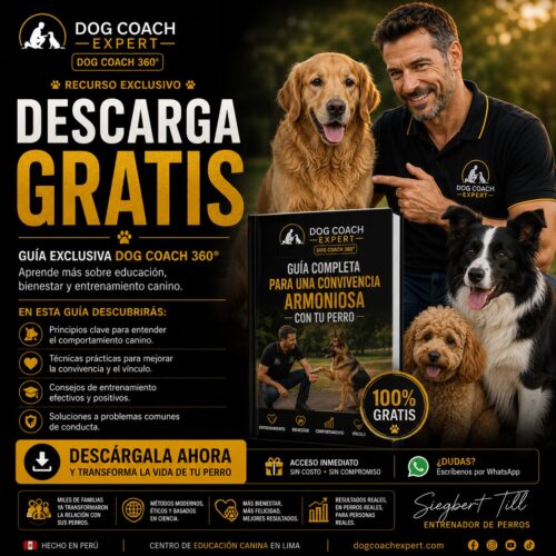 Descarga Gratis