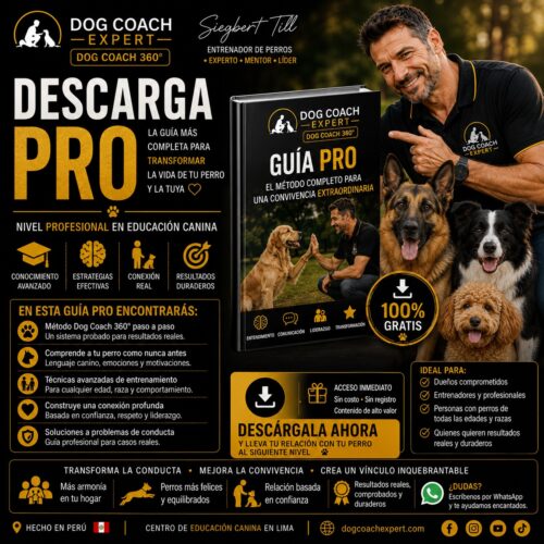 Descarga Pro