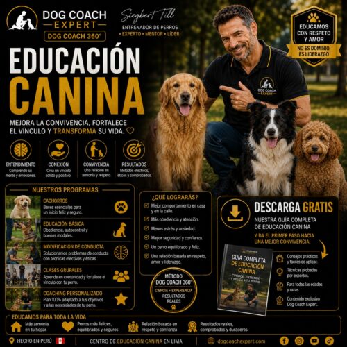 Educación canina