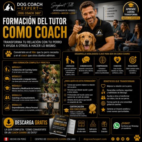 Formación del Tutor como Coach