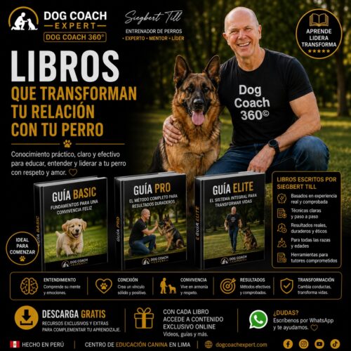Libros