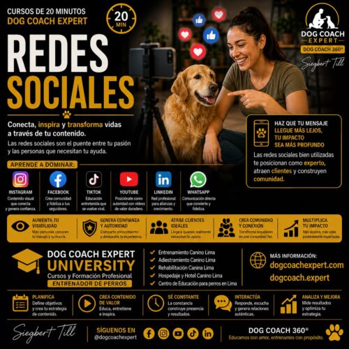 Redes Sociales