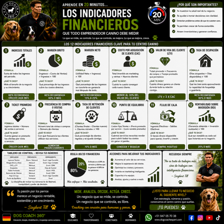 Aprende en 20 minutos… Los Indicadores Financieros que Debes Revisar Cada Mes
