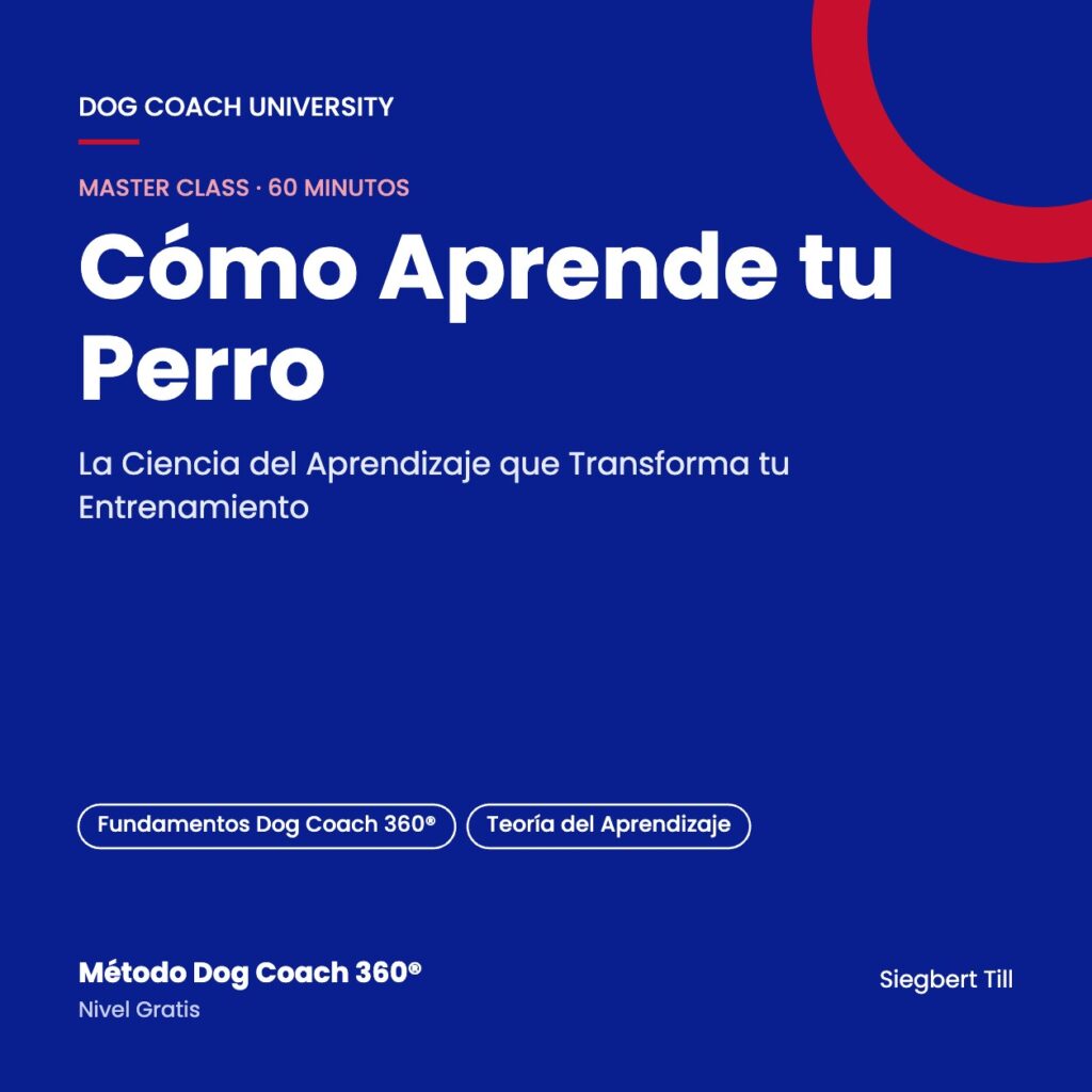 Portada del curso Cómo Aprende tu Perro — Dog Coach University, Método Dog Coach 360®